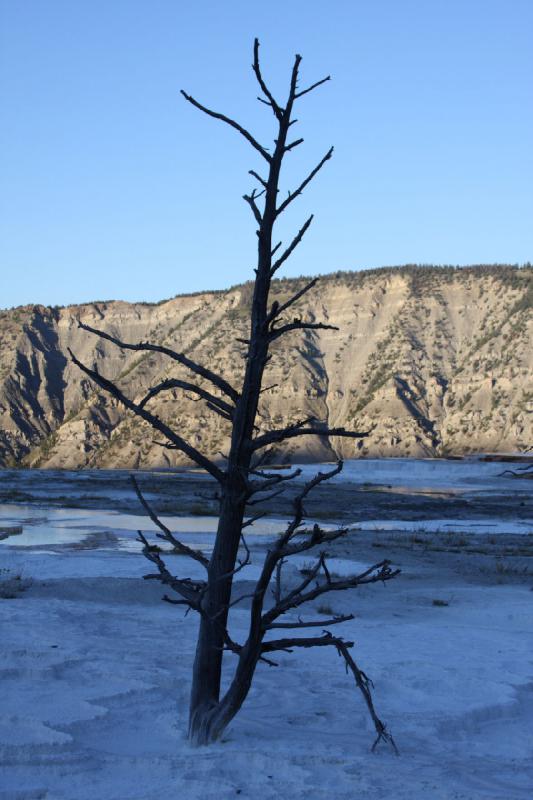 2008-08-16 19:36:41 ** Yellowstone Nationalpark ** 