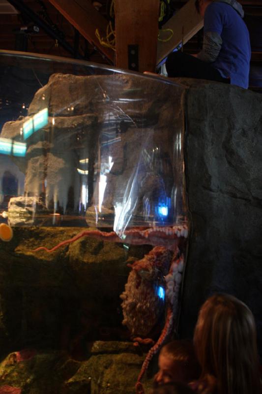 2012-06-16 12:00:19 ** Aquarium, Seattle ** 