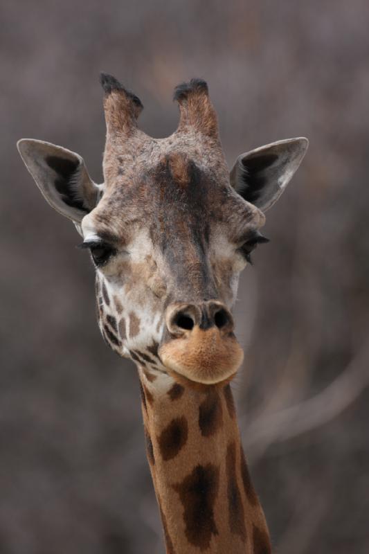 2012-03-25 14:30:33 ** Utah, Zoo ** 