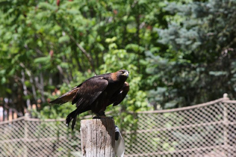 2011-07-15 13:21:38 ** Utah, Zoo ** 