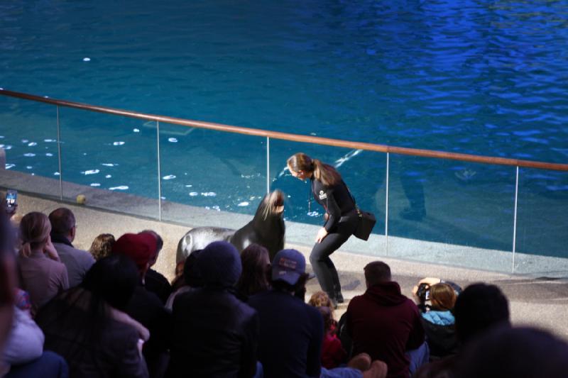 2014-03-12 12:41:52 ** Chicago, Illinois, Shedd Aquarium ** 