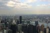 In der linken Hälfte des Bildes das "Chrysler Building" und "Trump World Tower" und auf der rechten Hälfte des Hauptquartier der Vereinten Nationen. Die Brücke, die die Insel "Roosevelt Island" überquert und Manhattan mit Brooklyn verbindet, ist die "Queensboro Bridge".