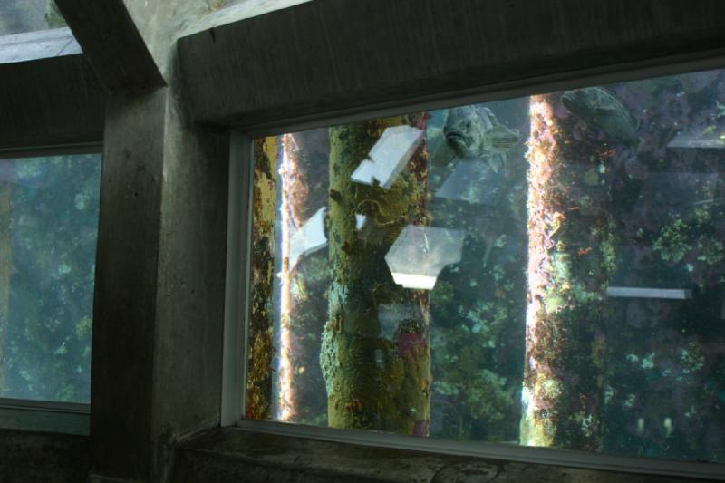 2007-09-01 12:00:46 ** Aquarium, Seattle ** Ein Raum umgeben vom Aquarium.