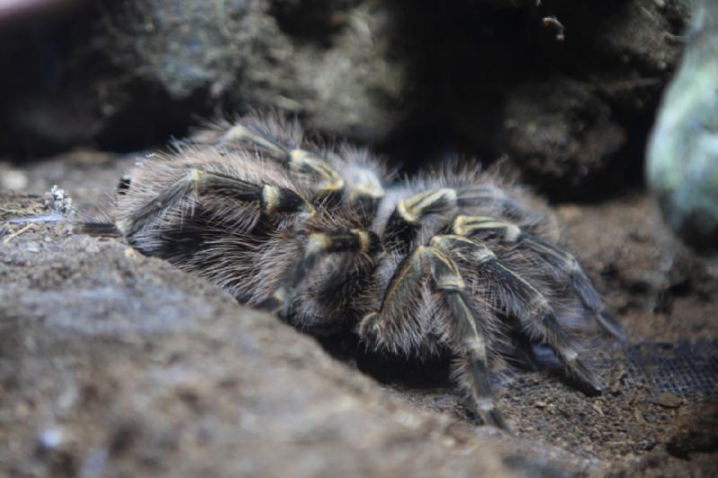 2012-05-19 08:04:24 ** Aquarium, Utah, Zoo ** 