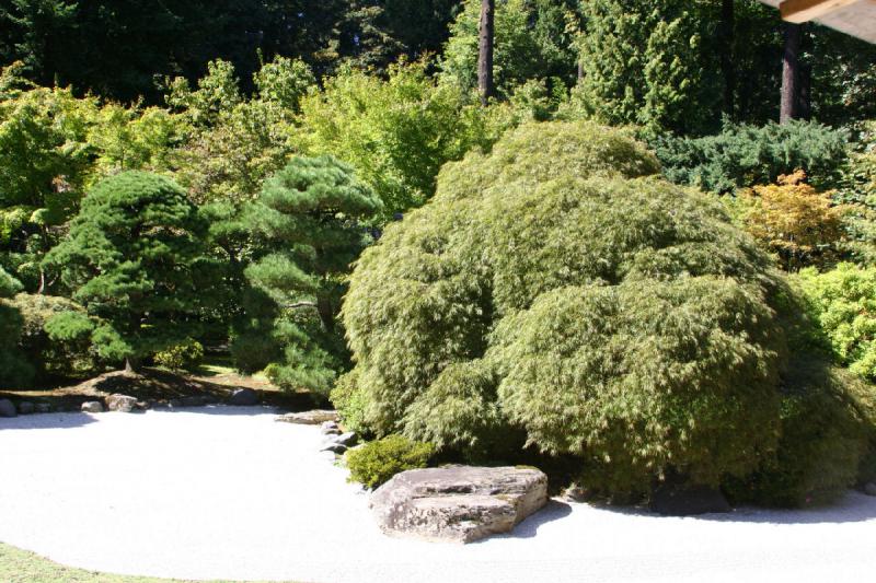 2007-09-02 14:29:10 ** Portland ** In the rock-garden.