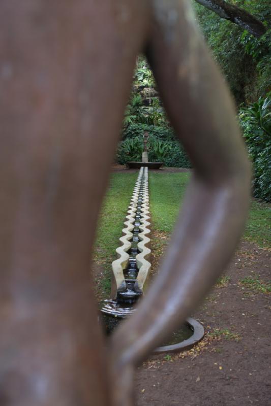 2011-11-27 10:53:13 ** Botanischer Garten, Hawaiʻi, Kauaʻi ** 