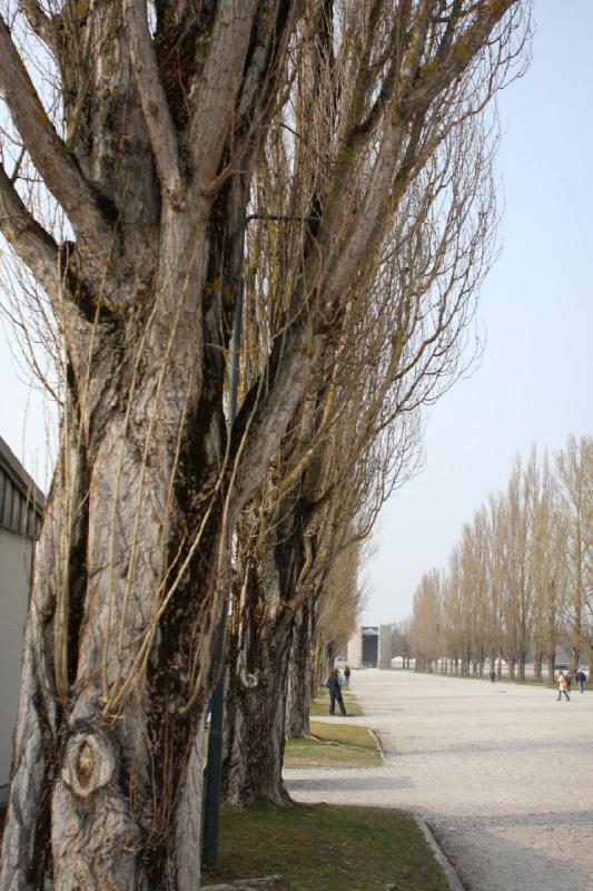 2010-04-09 16:02:59 ** Concentration Camp, Dachau, Germany, Munich ** 