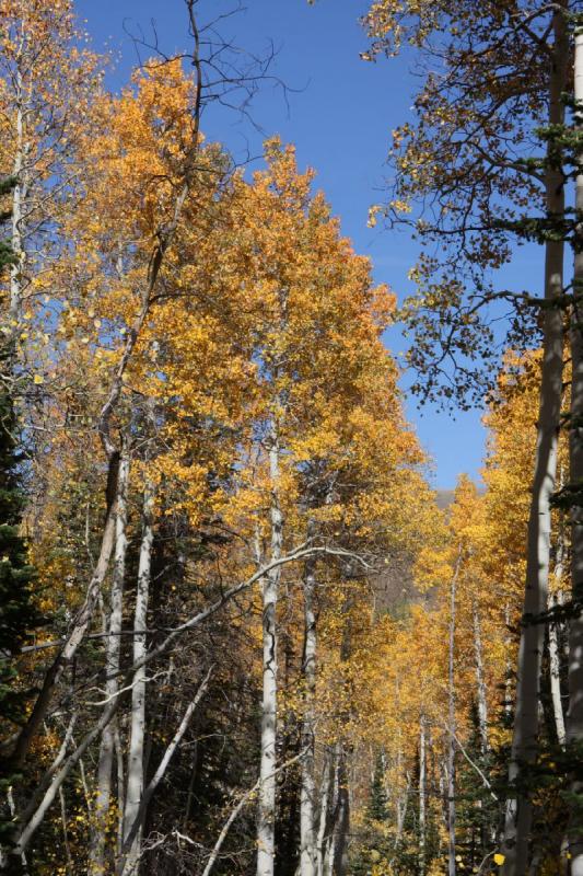 2010-10-01 14:20:41 ** Big Cottonwood Canyon, Utah ** 