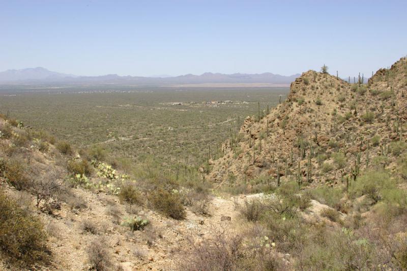 2006-06-17 11:13:58 ** Kaktus, Tucson ** Im Tal ist 'Old Tucson', die Western-Filmstadt zu sehen.