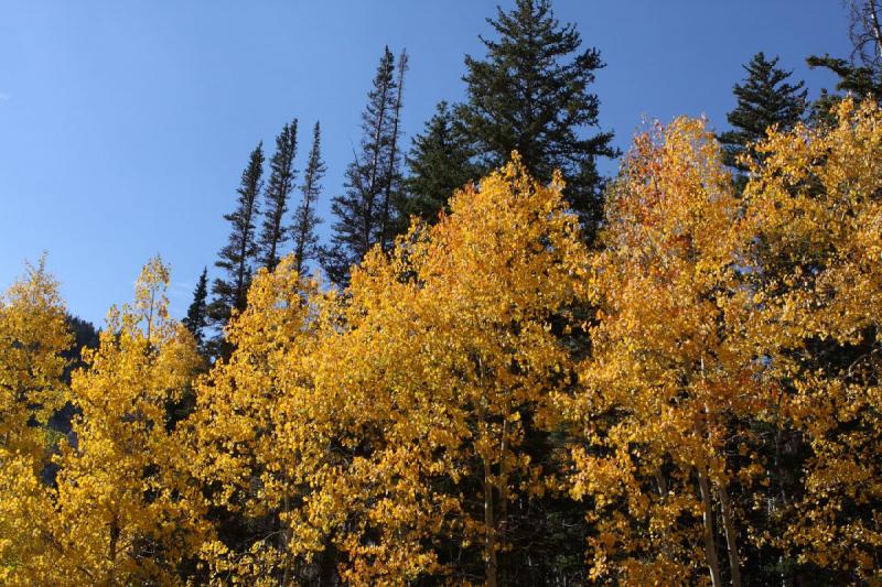 2010-10-01 14:03:01 ** Big Cottonwood Canyon, Utah ** 