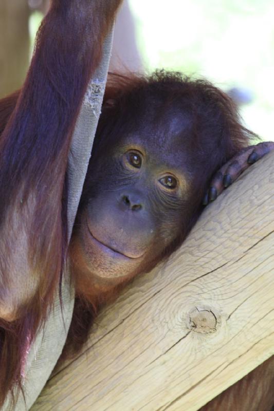 2011-07-15 14:10:01 ** Utah, Zoo ** 