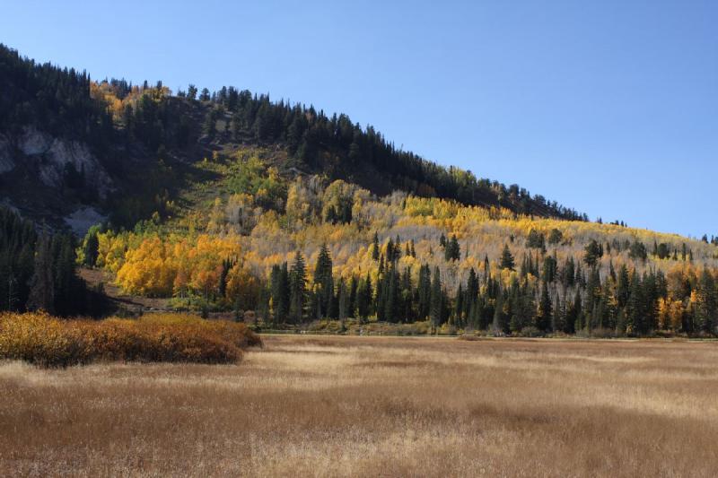 2010-10-01 15:06:28 ** Big Cottonwood Canyon, Utah ** 