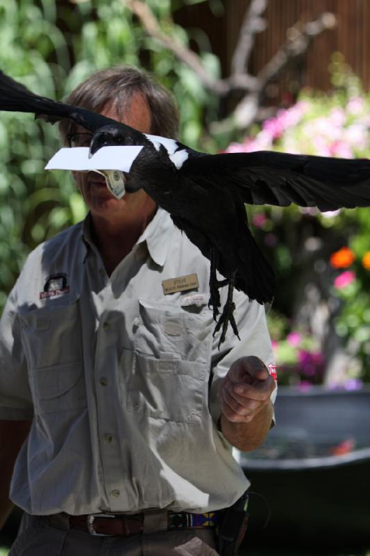 2011-07-15 13:08:11 ** Utah, Zoo ** 