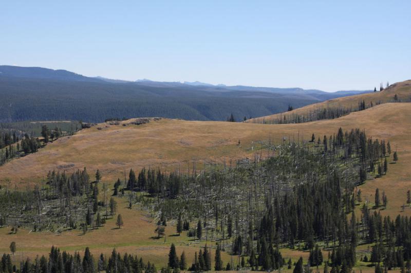 2008-08-16 13:19:33 ** Yellowstone Nationalpark ** 