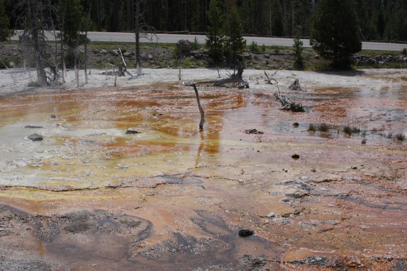 2009-08-03 10:32:42 ** Yellowstone National Park ** Colors in the Fountain Paint Pot area.