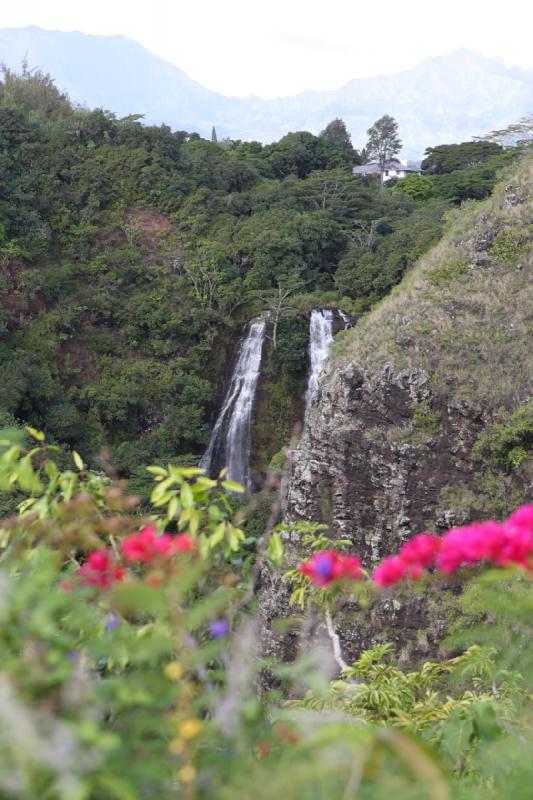 2011-11-25 10:57:07 ** Hawaiʻi, Kauaʻi ** 'Opaeka'a Wasserfall.