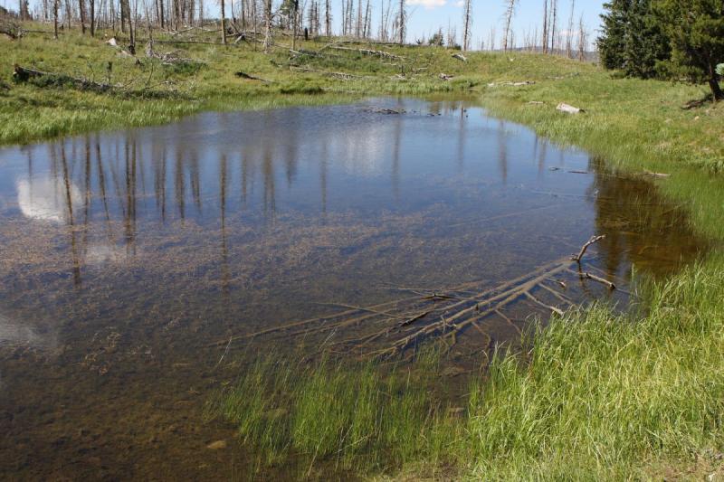 2010-08-21 15:29:29 ** Uinta Mountains ** 