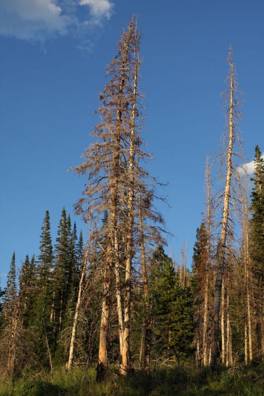 2010-08-21 19:41:53 ** Uinta Mountains ** 