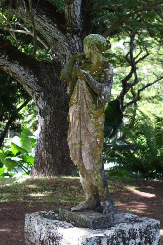 2011-11-27 10:03:34 ** Botanischer Garten, Hawaiʻi, Kauaʻi ** 