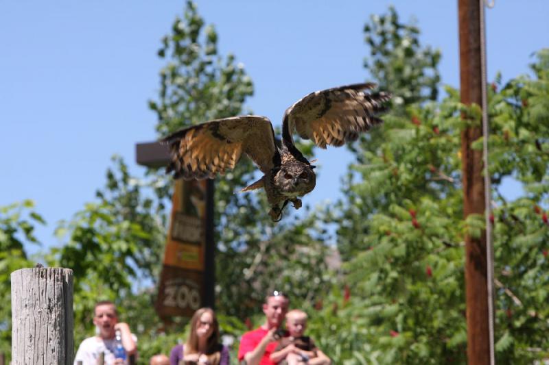 2011-07-15 13:19:45 ** Utah, Zoo ** 