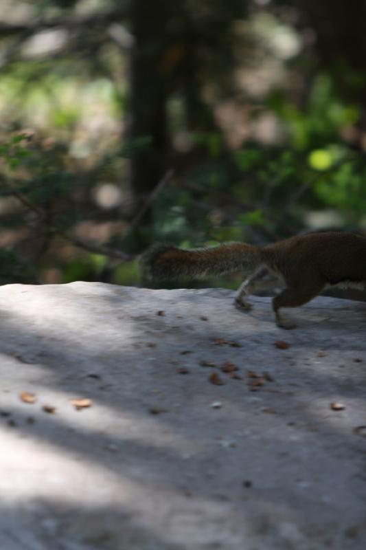 2012-06-12 11:17:20 ** Silver Lake, Utah ** 