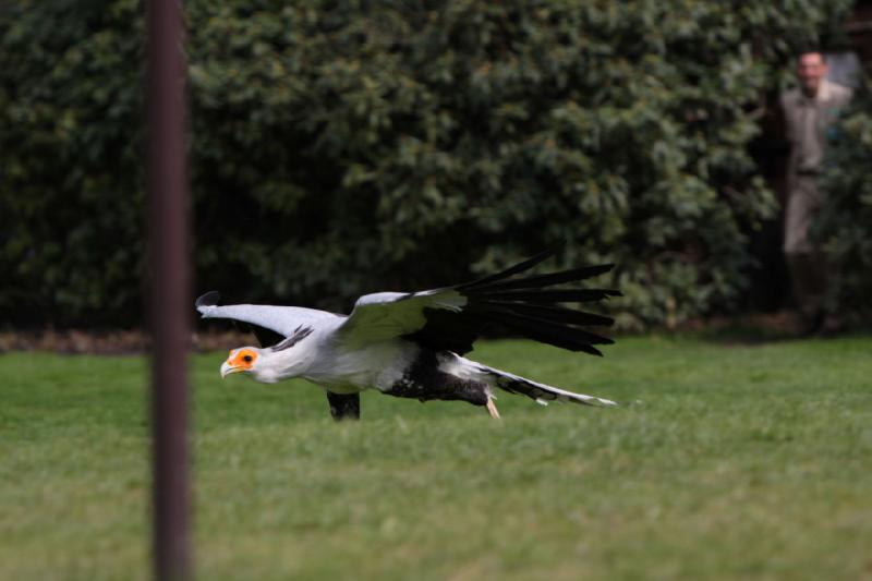 2010-04-13 14:41:31 ** Deutschland, Walsrode, Zoo ** 