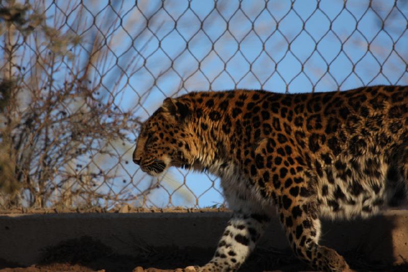 2011-01-23 16:31:50 ** Utah, Zoo ** 