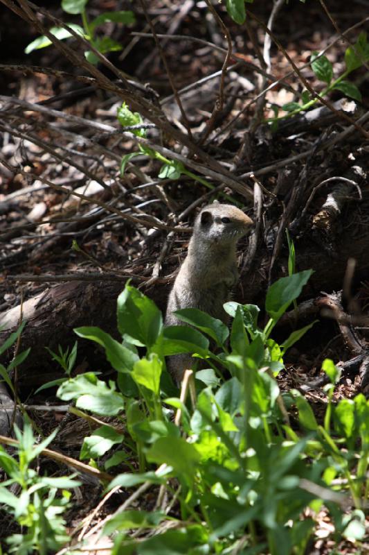 2012-06-12 11:53:03 ** Silver Lake, Utah ** 