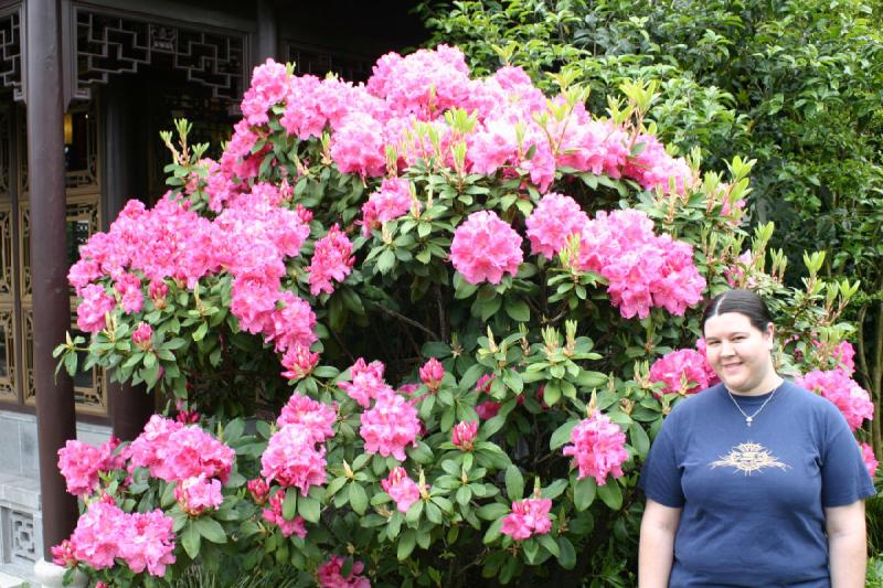 2005-05-05 11:45:32 ** Botanical Garden, Erica, Oregon, Portland ** Erica standing next to a rhododendron.