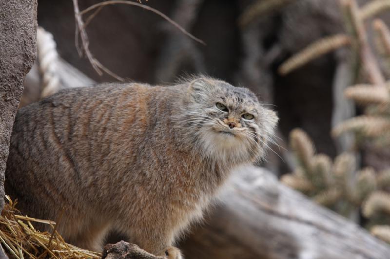 2012-03-25 14:18:09 ** Utah, Zoo ** 